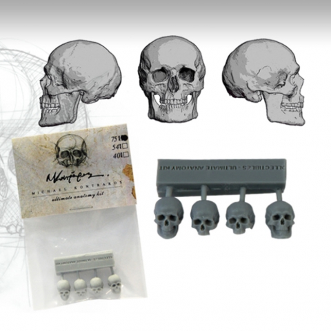 Skull Set - 75mm _ Michael Kontraros Collectibles