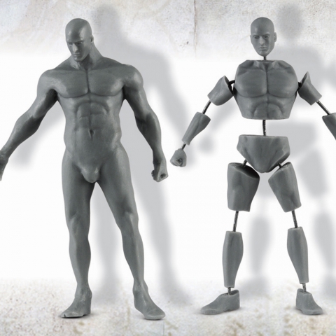 Male Anatomy Kit 75mm_ Michael Kontraros Collectibles