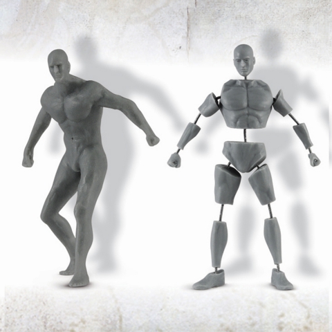 Male Anatomy Set - 40mm_ Michael Kontraros Collectibles