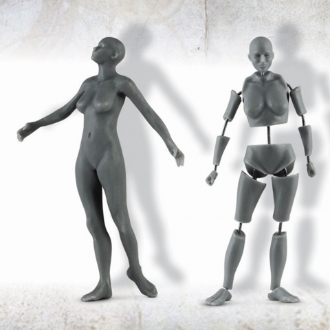 Female Anatomy Kit - 54mm_ Michael Kontraros Collectibles