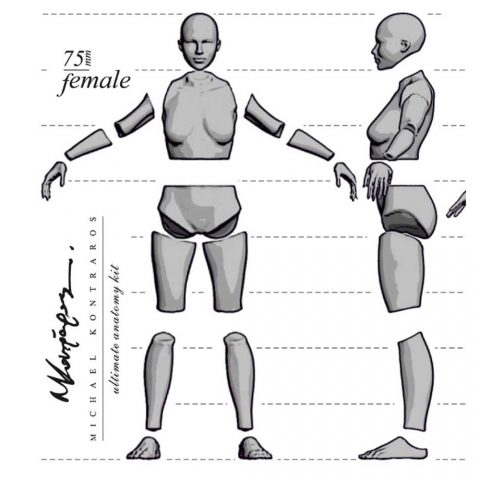 Female Anatomy Kit - 54mm_ Michael Kontraros Collectibles