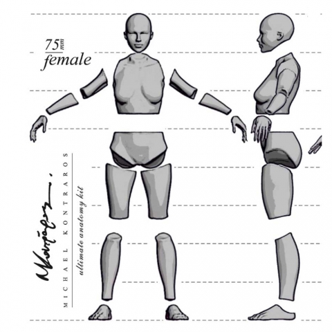 Female Anatomy Kit - 75mm_ Michael Kontraros Collectibles