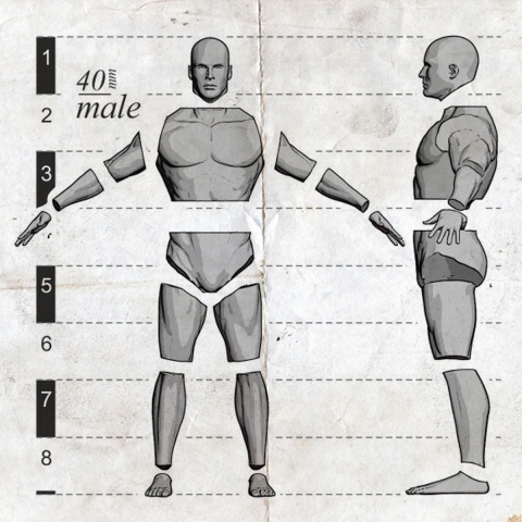 Male Anatomy Set - 40mm_ Michael Kontraros Collectibles