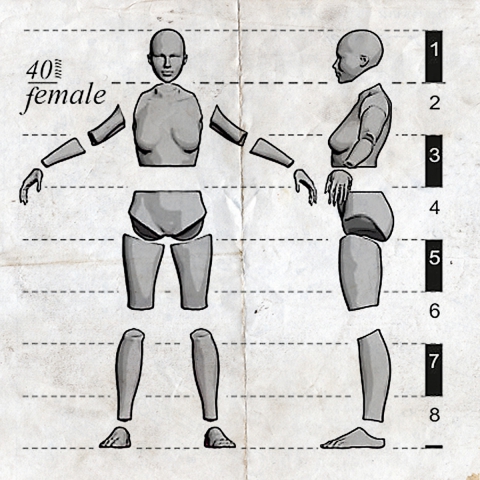 Female Anatomy Kit - 40mm_ Michael Kontraros Collectibles
