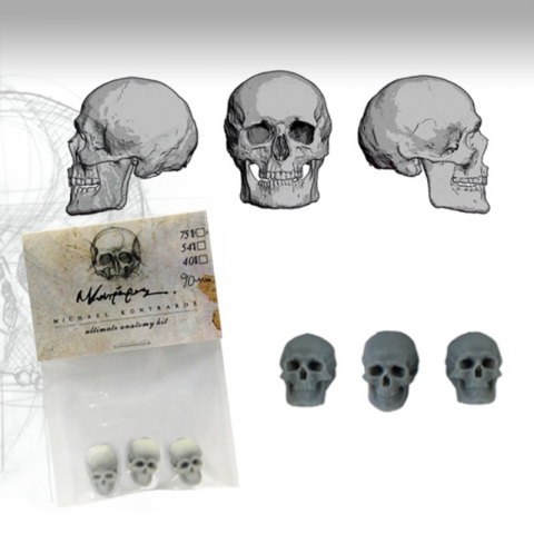 Skulls Set - 90mm _ Michael Kontraros Collectibles